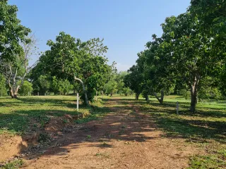 For sale land in Mueang Chiang Rai, Chiang Rai