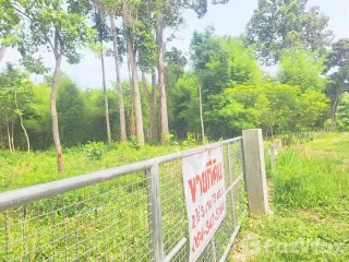 For sale land in Kanthararom, Sisaket