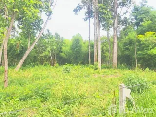 For sale land in Kanthararom, Sisaket