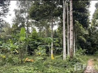 For sale land in Tha Mai, Chanthaburi