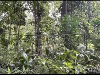 For sale land in Tha Mai, Chanthaburi