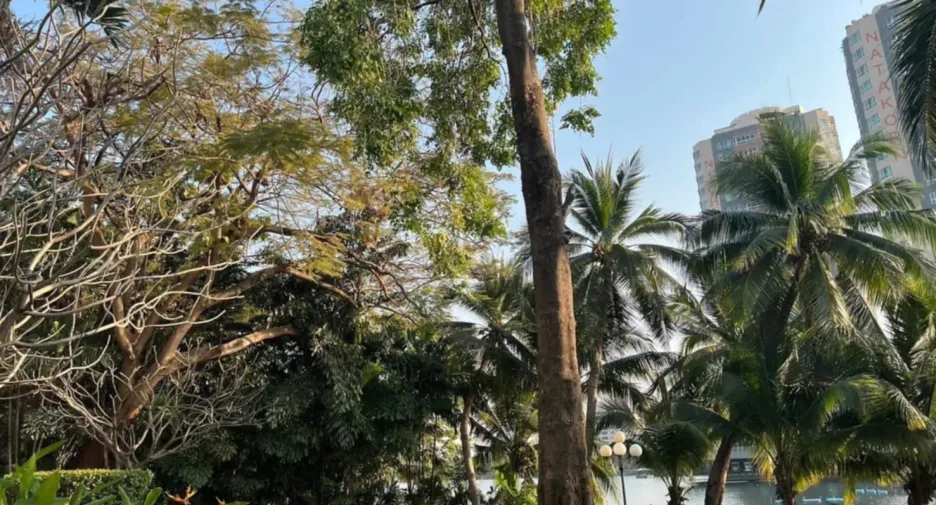 For rent 3 bed condo in Pak Kret, Nonthaburi