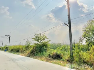 For sale land in Wang Noi, Phra Nakhon Si Ayutthaya