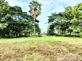 For sale land in Mueang Phayao, Phayao
