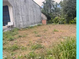 For sale land in Ron Phibun, Nakhon Si Thammarat