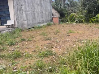 For sale land in Ron Phibun, Nakhon Si Thammarat