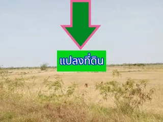 For sale land in Mueang Nakhon Ratchasima, Nakhon Ratchasima