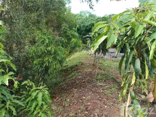 For sale 2 Beds house in Khlong Khuean, Chachoengsao