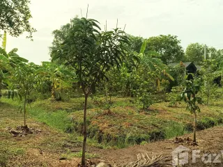 For sale 2 Beds house in Khlong Khuean, Chachoengsao