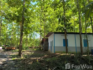 For sale land in Phu Phiang, Nan