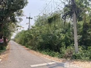 For sale land in Phachi, Phra Nakhon Si Ayutthaya
