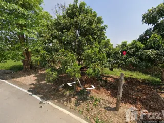 For sale land in Mueang Lamphun, Lamphun