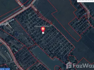For sale land in Mueang Lamphun, Lamphun