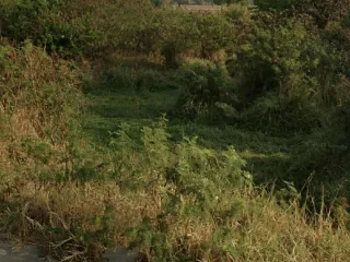 For sale land in Sung Noen, Nakhon Ratchasima