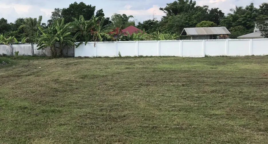 For sale land in Phon Phisai, Nong Khai