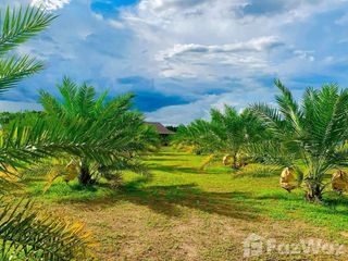 For sale land in Ban Pong, Ratchaburi