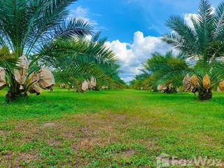 For sale land in Ban Pong, Ratchaburi