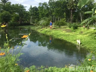 For sale 2 Beds house in Thong Pha Phum, Kanchanaburi