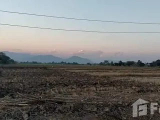 For sale land in Mae Sai, Chiang Rai