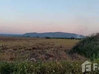 For sale land in Mae Sai, Chiang Rai