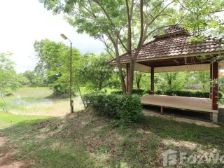 For sale land in Sakhrai, Nong Khai