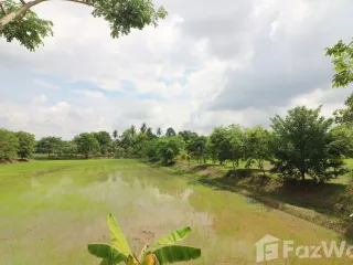 For sale land in Sakhrai, Nong Khai