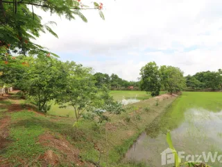 For sale land in Sakhrai, Nong Khai
