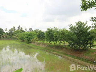 For sale land in Sakhrai, Nong Khai