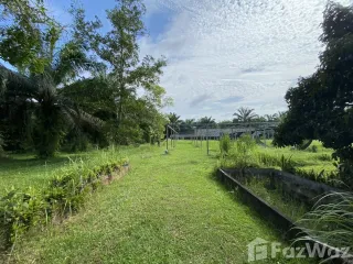 For sale land in Ban Na Doem, Surat Thani