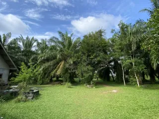 For sale land in Ban Na Doem, Surat Thani