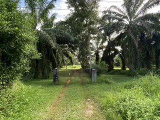For sale land in Ban Na Doem, Surat Thani