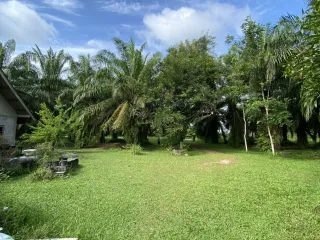 For sale land in Ban Na Doem, Surat Thani