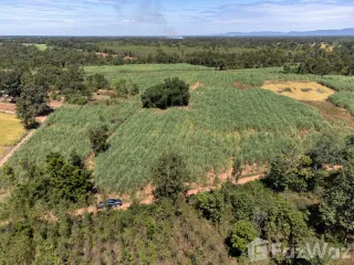 For sale land in Mueang Nongbua Lamphu, Nong Bua Lamphu