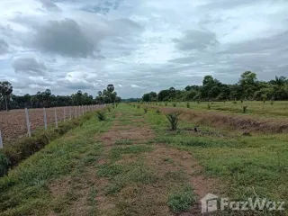 For sale land in Singhanakhon, Songkhla