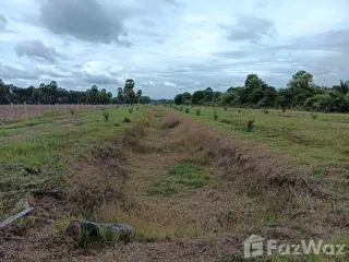 For sale land in Singhanakhon, Songkhla