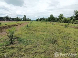 For sale land in Singhanakhon, Songkhla
