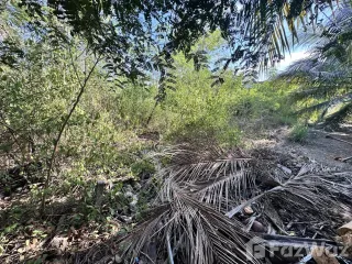 For sale land in Damnoen Saduak, Ratchaburi