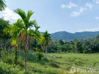 For sale land in Mueang Krabi, Krabi