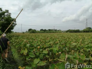 For sale land in Ban Mo, Saraburi