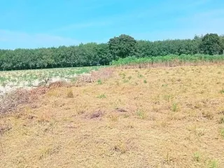 For sale land in Nikhom Phatthana, Rayong