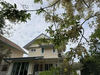 For rent 3 bed house in San Sai, Chiang Mai