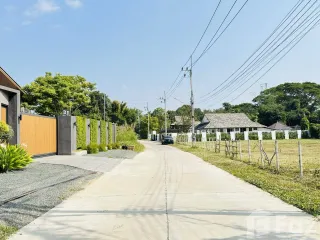 For sale land in Mae Rim, Chiang Mai