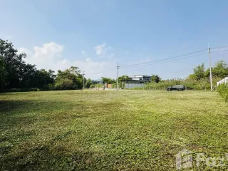 For sale land in Mae Rim, Chiang Mai