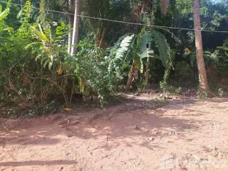 For sale land in Mueang Phangnga, Phang Nga