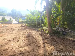 For sale land in Mueang Phangnga, Phang Nga