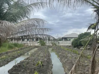 For sale land in Sam Phran, Nakhon Pathom