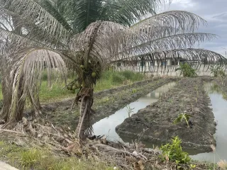 For sale land in Sam Phran, Nakhon Pathom