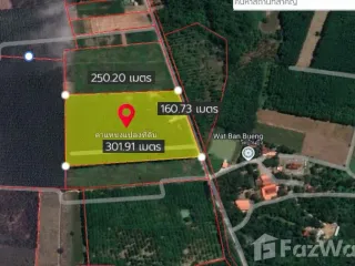 For sale land in Ban Kha, Ratchaburi