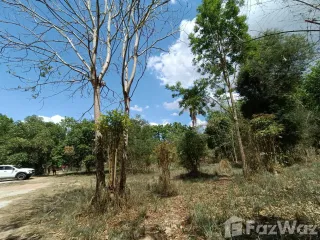For sale land in Ban Kha, Ratchaburi