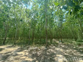 For sale land in Ban Kha, Ratchaburi